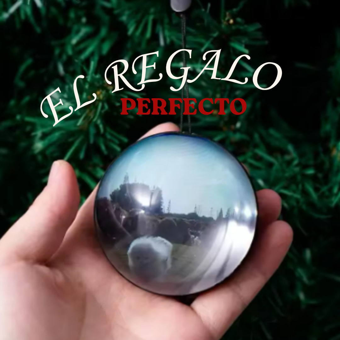 Memora glass Esfera de video 3D